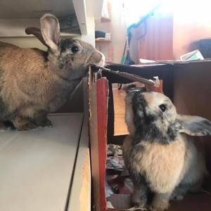 Meet your Posher, Tara-lynn